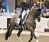 dressage127