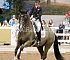 dressage130